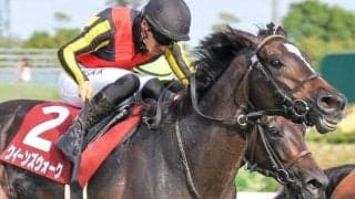 【天皇賞(秋)】川田将雅騎手が天皇賞初制覇なるか クイーンズウォークで32回目の参戦だ