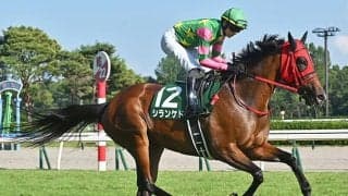 【天皇賞(秋)】15頭の香港馬名・馬名意味を紹介！『聽講』『宇宙雨林』はどの馬？