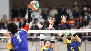 春高バレー神奈川県大会　男子は慶応、女子は横浜隼人が最有力　11月3日開幕