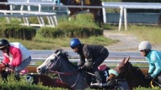 キャンディード、デイリー杯2歳S2週前追い切り速報/栗東トレセンニュース