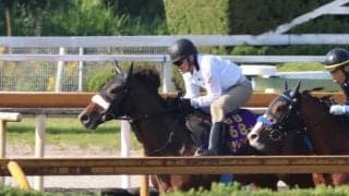 ステレンボッシュ、エリザベス女王杯2週前追い切り速報/栗東トレセンニュース