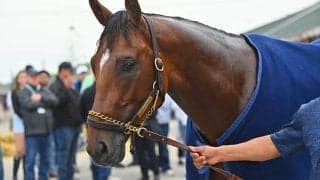 【米・BCクラシック】弱点なしのジャーナリズム マッカーシー師「ずっと“特別”な存在」