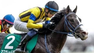 【天皇賞(秋)枠順確定】マスカレードボールは5枠7番、ミュージアムマイルは6枠9番