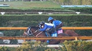 ジュウリョクピエロなど、JBC最終追い切り速報/栗東トレセンニュース