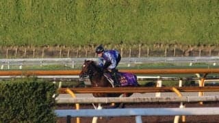 アドマイヤズーム、マイルCS追い切り速報/栗東トレセンニュース