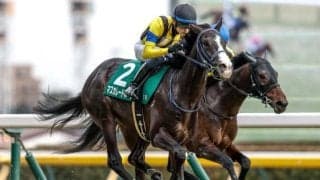 【天皇賞(秋)・調教後馬体重】マスカレードボールは470kg、ミュージアムマイルは510kg