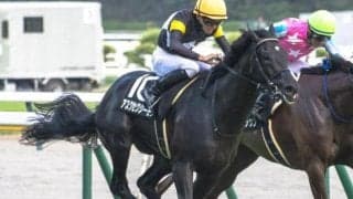 【紅葉S】福永祐一厩舎の2.9億円馬 アスクセクシーモアが連勝でオープン入りなるか