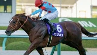 半兄は朝日杯FS覇者のサリオス サリエンテがC.デムーロ騎手でデビュー勝ち狙う