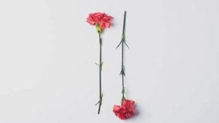 妊活について、具体的に何をする？