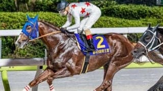 【JBCクラシック】C.ルメール騎手が初制覇なるか 帝王賞覇者のミッキーファイトで参戦