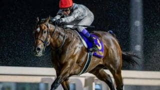 【JBCレディスクラシック】武豊騎手が6年ぶり2勝目なるか オーサムリザルトで参戦