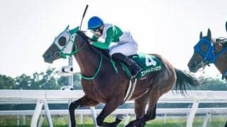 【門別・JBC2歳優駿枠順】無傷3連勝で重賞制したエンドレスソロウは8枠10番