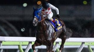 【船橋・JBCクラシック枠順】帝王賞覇者ミッキーファイトは8枠13番、南部杯を制したウィルソンテソーロは6枠9番