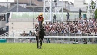 香港国際競走の予備登録馬が発表 クロワデュノールが2レースにエントリー