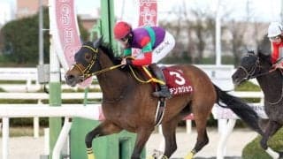 【船橋・JBCレディスC枠順】JpnI初制覇狙うテンカジョウは2枠2番、地元の期待馬プラウドフレールは4枠6番