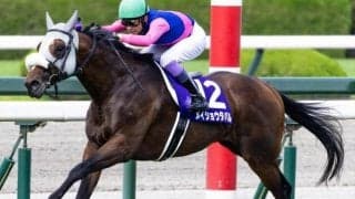 今週の武豊騎手は7鞍 メイショウタバルで天皇賞(秋)の8勝目なるか