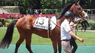 半兄はGI・2勝のカフェファラオ アルカディアカフェが初勝利なるか