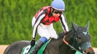 全兄は中日新聞杯覇者のデシエルト 名牝系出身のアクアアイがデビューVなるか