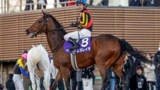 【エリザベス女王杯想定馬・騎手】レガレイラ、ステレンボッシュなど17頭