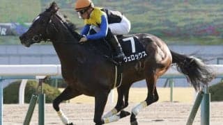 川田将雅が元愛馬と再会！「可愛がられてることがしっかり伝わる雰囲気でした」　2019年牡馬クラシックを沸かせた実力馬の今