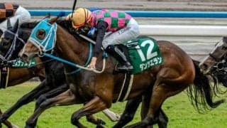 【ファンタジーS】過去10年の勝ち馬はすべてキャリア2戦以下 超好成績を収める要注目の血統とは