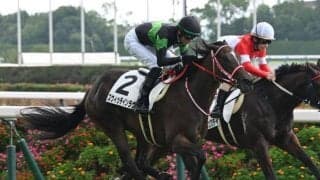 【米・BCジュベナイルフィリーズターフ結果】スウィッチインラヴは果敢に逃げるも11着