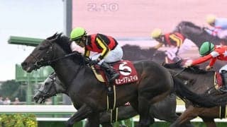 【競馬予想】天皇賞・秋で注目は「今年勝利が多い」血統　牝系が魅力の６歳馬も本格化の気配