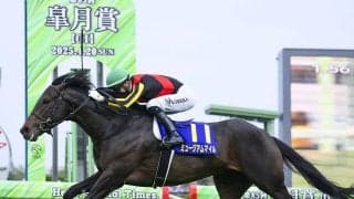 【競馬予想】天皇賞・秋で人気の３歳馬　勝機あるのはミュージアムマイルか、マスカレードボールか