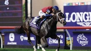 【BCジュベナイルターフスプリント】サイフェアが史上2頭目の牝馬制覇…ブリーダーズカップ開幕戦を制す