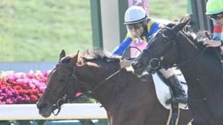 【京都5R新馬戦結果】キタサンブラック産駒シャドウマスターが接戦を制す