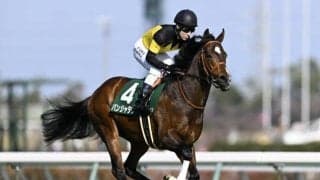 【豪・ゴールデンイーグル結果】パンジャタワーは初の海外レースで5着に健闘