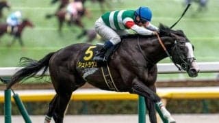 【豪・ラッセルボールディングS結果】シュトラウスは直線追い上げるも6着