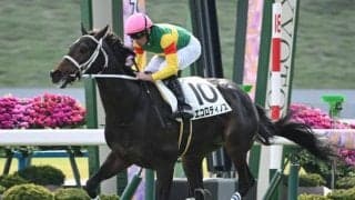 【JRA・WIN5】本日のWIN5は的中246票、配当81万8360円