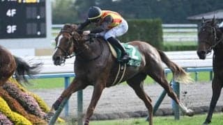 【ファンタジーS結果】フェスティバルヒルが差し切り重賞初V 兄は皐月賞馬ミュージアムマイル
