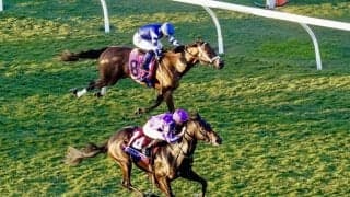 【BCジュベナイルターフ】木村和士騎乗の伏兵スタークコントラストが2着…スミヨン騎乗のグスタードが人気に応える