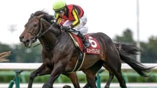 【天皇賞(秋)予想】前走の経験は意味がない!? GI勝ち馬に黄色信号が灯る要因とは