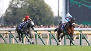 【天皇賞(秋)】豪華メンバーが集う一戦 もっとも多くのGI馬が揃った年は？