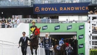 【豪ゴールデンイーグル】日本馬パンジャタワーは懸命に伸びるも5着まで…豪オータムグローが無傷8連勝でV