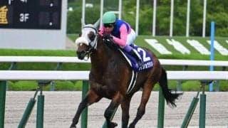 【AI予想・天皇賞(秋)】人工知能は過小評価されている実力馬に◎！ 前走がフロックでないことを証明する走りに期待