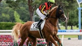 母は名牝グランアレグリア グランマエストロが2戦目で初勝利なるか