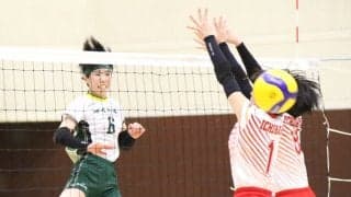 春高バレー千葉県決勝、男子は市立船橋×東京学館船橋　女子は敬愛学園×市立船橋