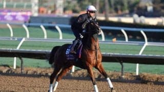 【BCターフスプリント枠順】日本馬2頭が参戦…インビンシブルパパ、ピューロマジックがスピード決戦に挑む