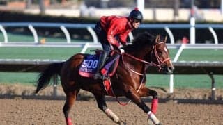 【BCスプリント枠順】坂井瑠アメリカンステージは9番ゲートから…連覇を狙うストレートノーチェイサーは12番ゲート