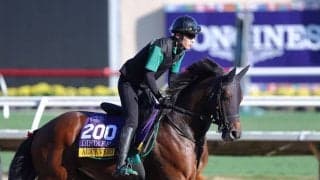 【BCディスタフ枠順】アリスヴェリテは6番ゲートから…昨年は4着