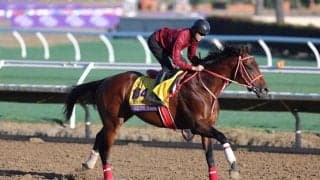 【BCクラシック枠順】いざ世界制覇へ！フォーエバーヤングは5番ゲートから…日本の馬券発売あり