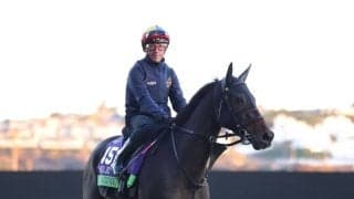 【BCマイル枠順】デットーリ騎乗 アルジーヌは9番ゲート…日本の馬券発売あり