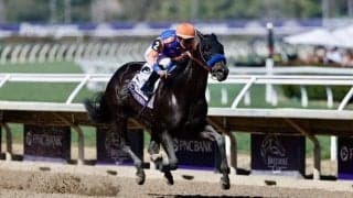 【BCフィリー＆メアスプリント】地元スプレンドラが鮮やか抜け出しV