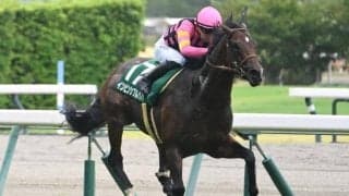 【米・BCターフスプリント結果】日本勢は着外 3歳牝馬シソスパイシーが完勝