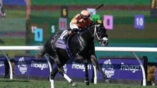 【BCターフスプリント】インビンシブルパパ6着…米シソスパイシーが逃げ切る