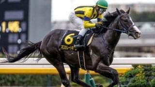 【今日の注目ポイント】3歳と古馬の一線級が激突する天皇賞(秋)